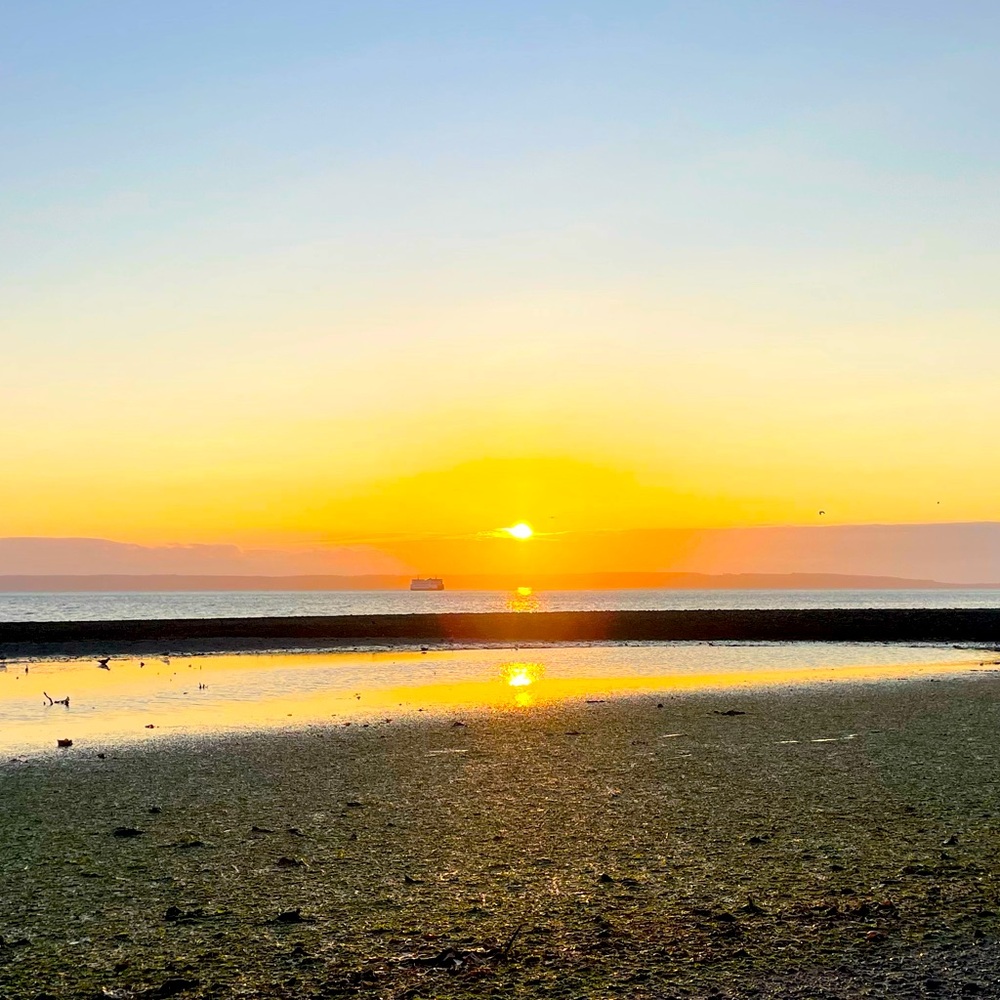 Meet your Posher, Devan